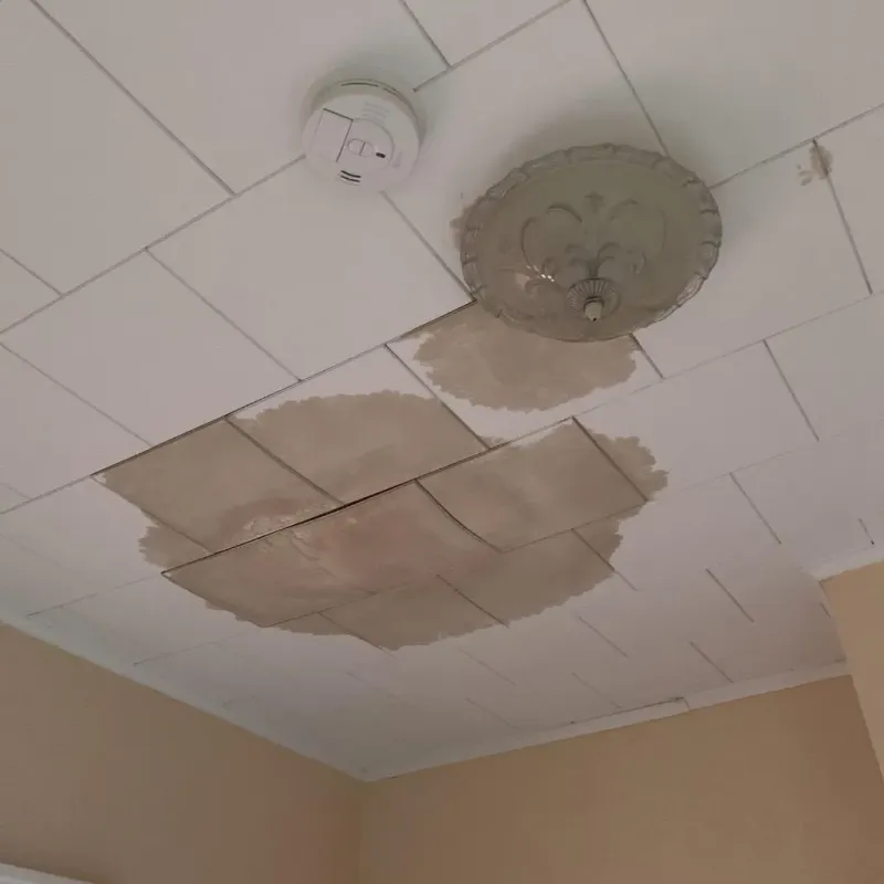 Ceiling Water Damage Repair in East Dublin, GA